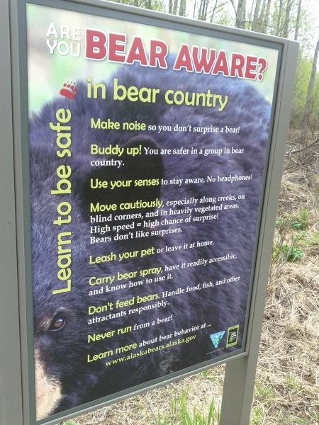 Are you bear aware?